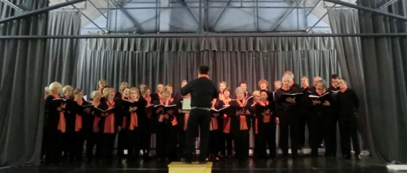concert bouchons 1