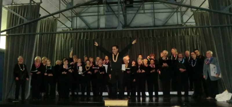 concert bouchons 2